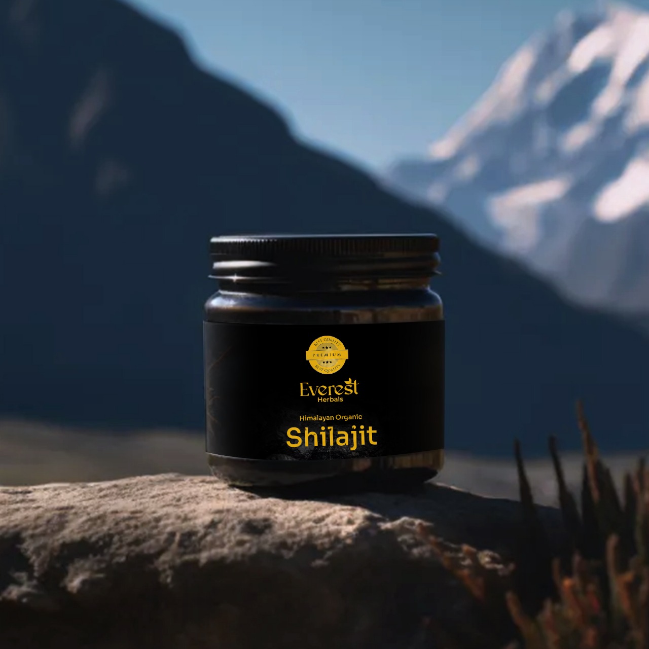Thumbnail 3 for Authentic Himalayan Shilajit Resin
